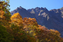 紅葉と東尾根