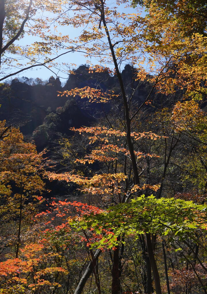 紅葉映える妙義山