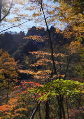 紅葉映える妙義山