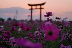 秋の夕暮れ