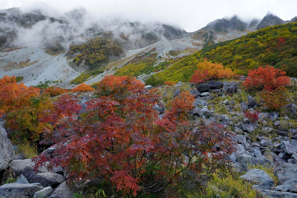 紅葉の涸沢
