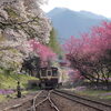 花桃列車