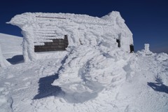 樹氷の造形