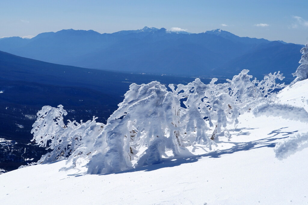 純白の霧氷と南アルプス