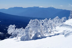 純白の霧氷と南アルプス