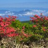 ツツジ咲く赤城山