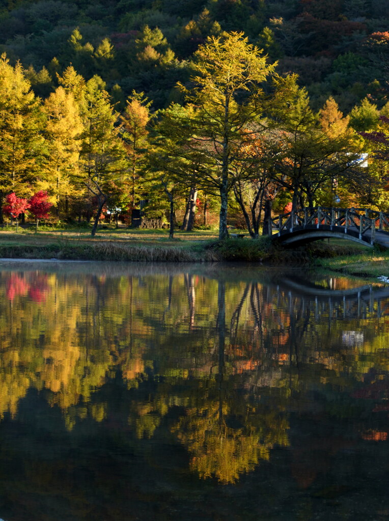 早朝の湖畔散歩