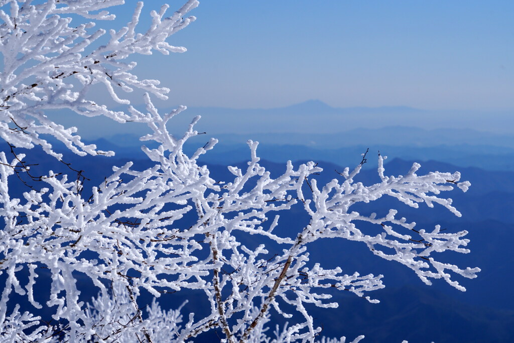 筑波山と霧氷