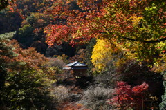 秋の行道山浄因寺