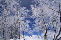夢のトンネル