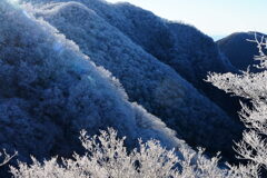 霧氷化粧