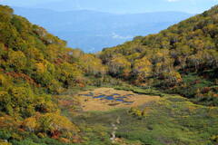 紅葉の中の小さな湿原