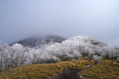 霧氷覆う黒檜山