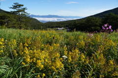 初秋の高原