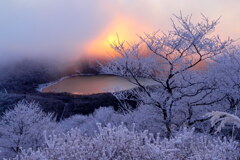 一瞬の紅