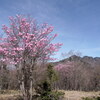 春の袈裟丸山