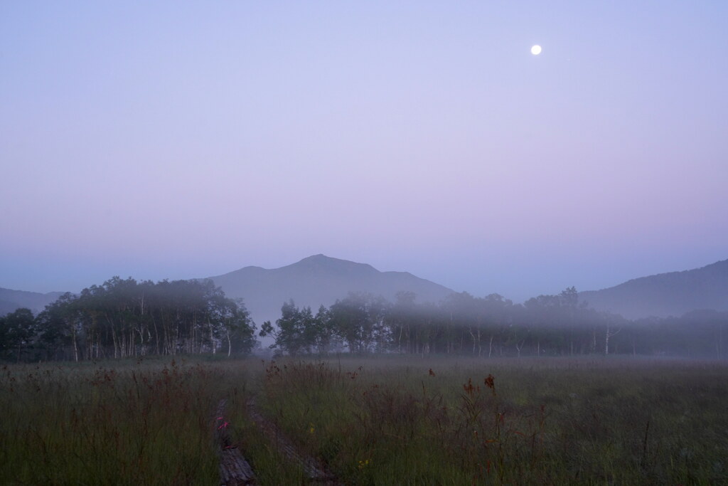 朝霧の月