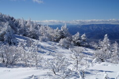 優しい雪に包まれて