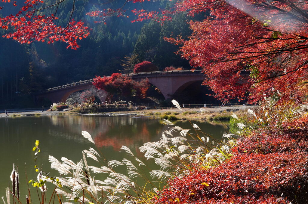 紅葉の碓井湖