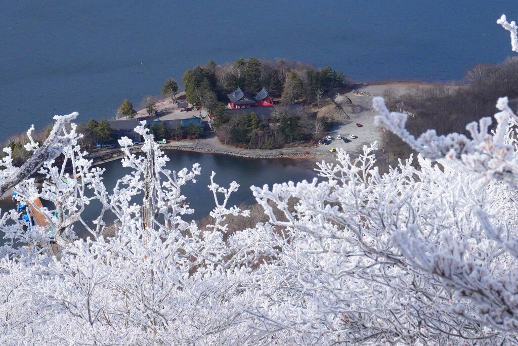 霧氷と赤城神社