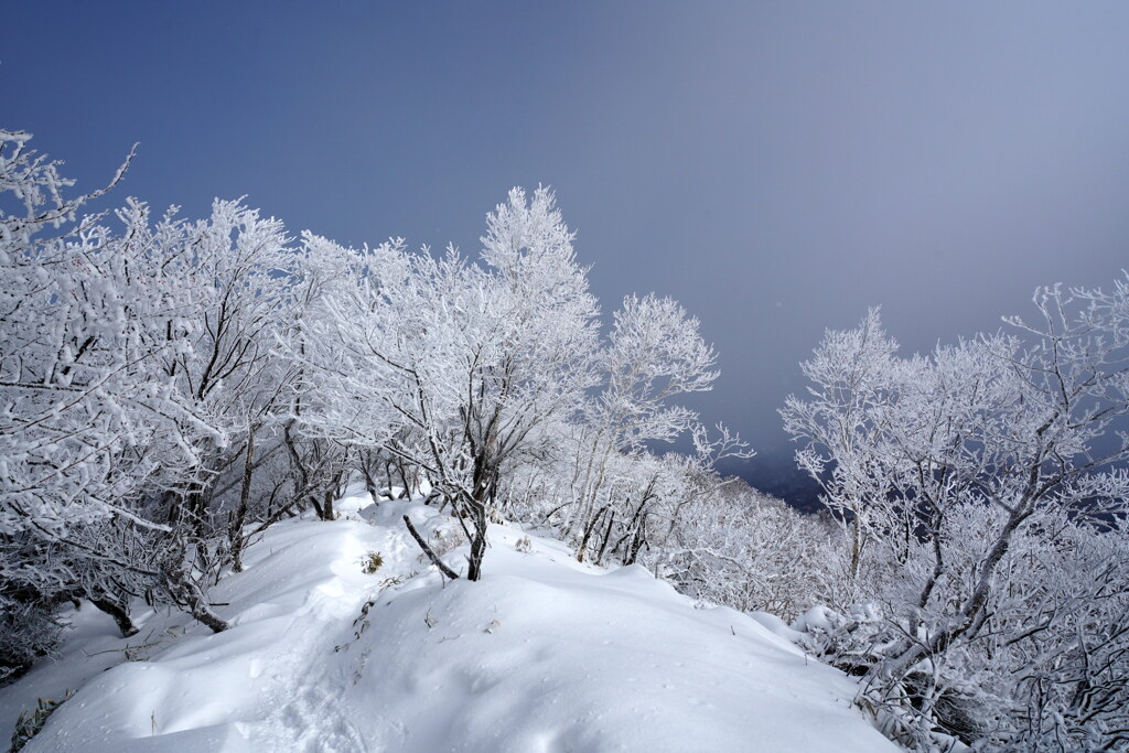 霧氷の黒檜山