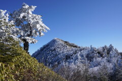 霧氷飾る四阿山