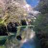春の渡良瀬川