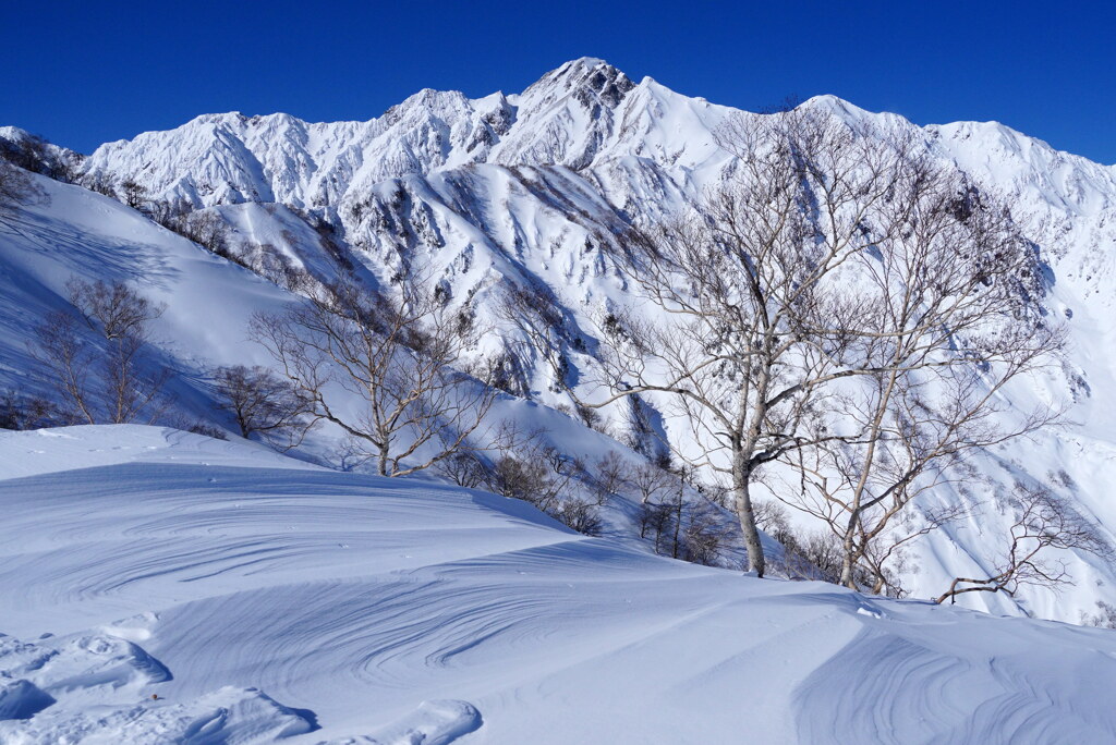 厳冬の五竜岳