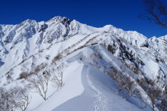 五竜岳望む遠見尾根