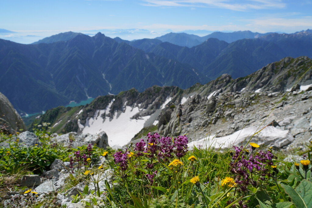 夏の花咲く雄山