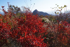 紅の先に