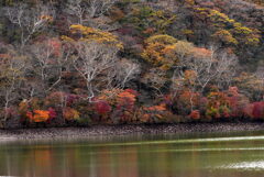 秋の湖畔 秋の湖畔