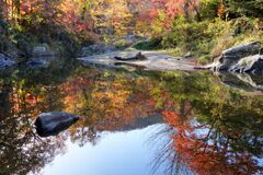 水鏡映る秋
