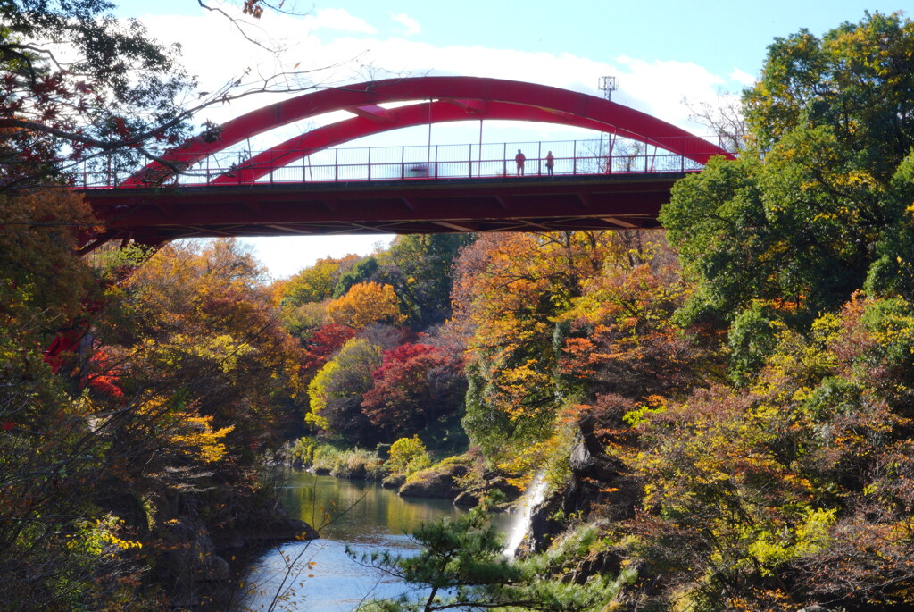 紅葉の高津戸橋