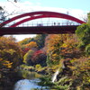 紅葉の高津戸橋