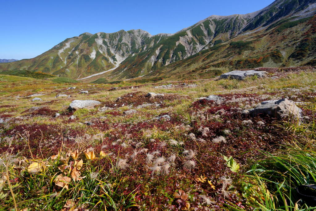 秋の立山室堂