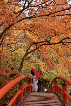 秋の花嫁