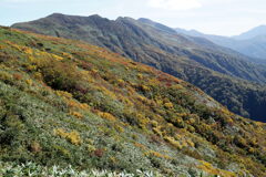 錦そまる越後の峰