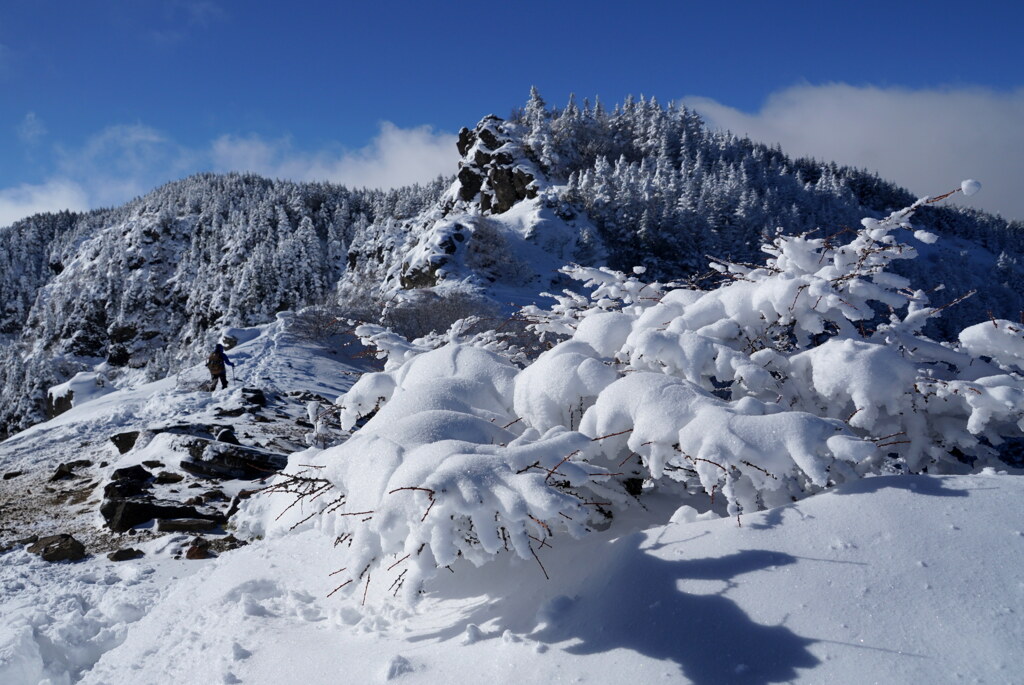 新雪の喜び