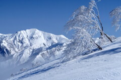 枝垂れ霧氷と谷川連峰