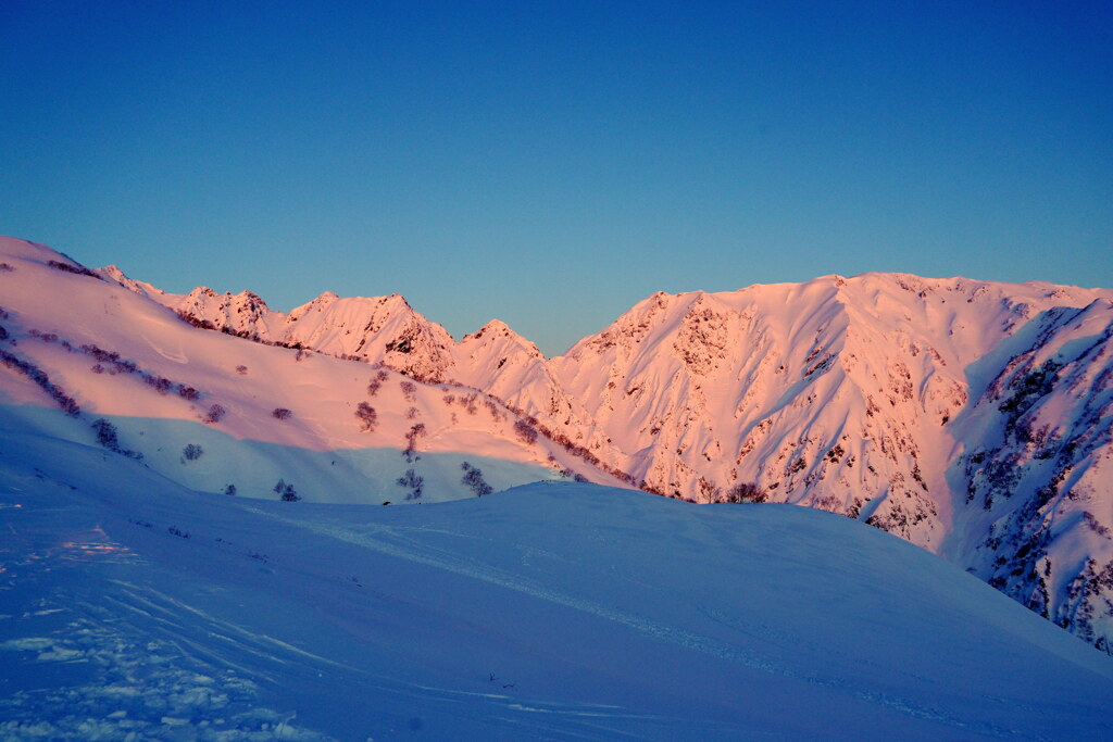 朝陽に染まる白馬三山