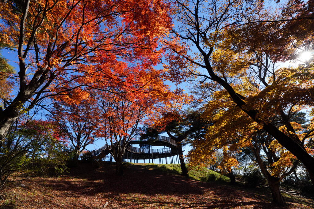 紅葉注ぐ展望台