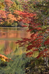 紅葉の観音沼