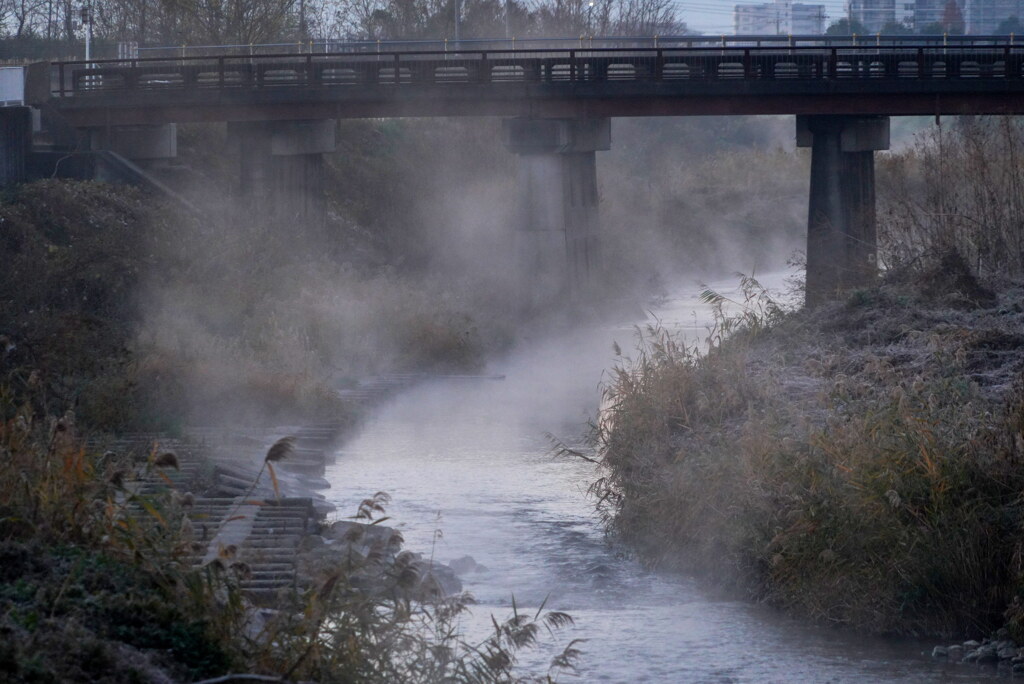 川霧の朝