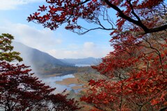 ヤシオ色付く秋の赤城山