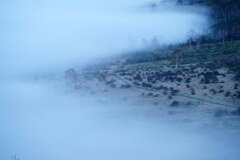 朝霧漂う湖畔