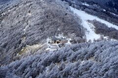 霧氷覆う車坂峠