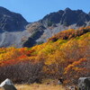 錦秋飾る涸沢岳