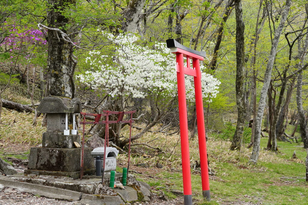 湖畔の祠