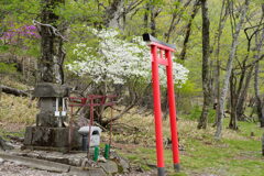 湖畔の祠